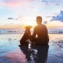Gemas dengan Anak-anak Anjing?  Jadilah Teman Mereka di Karibia!
