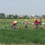 Petani Produktif Tanpa KUR Bisa Ajukan Pinjaman UMi