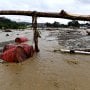 BNPB Sebut Dua Faktor yang Jadi Penyebab Banjir Bandang Sentani