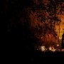 11 Hektare Lahan di Jambi Terbakar, Polisi Tetapkan 37 Tersangka