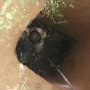 Tepergok Warga, Maling Bernama Nasib Kecemplung Septic Tank