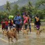 Pencarian Korban Hilang Banjir Sentani, Polisi Kerahkan 15 Anjing Pelacak