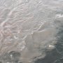 Selain di Selat Madura, Fenomena Halocline Juga Terjadi di Tempat Ini