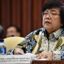 Bencana Papua, KLHK : Curah Hujan Ekstrem Sebabkan Banjir Bandang