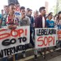 Mahasiswa Maluku Gelar Aksi Massa Tuntut Legalisasi Minuman Keras Sopi