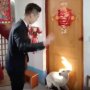 Viral Anjing Tak Ingin Majikan Menikah, Terus Menghalangi Tanpa Menyerah