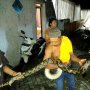 Seram! Istri Pak Ustadz "Diganggu" Ular Sanca saat Mau Salat Subuh