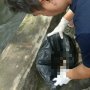 Ada Pasangan ABG Ribut Sebelum Warga Temukan Mayat Bayi di Loteng