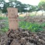 Sebelum PSBB, Pemprov Siapkan 1.000 Makam Khusus Corona di TPU Tegal Alur