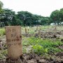 FACE OF JAKARTA: Jejak Kuburan Tanpa Nama dan Penggali Kubur Mister X