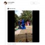 Hingga Lepas Jibab, Aksi Emak-Emak Berantem ala Petinju Ini Viral