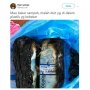 Disangka Sampah, Pria Ini Bakar Segepok Uang