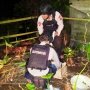 Panen Ubi Talas, Muswardi Malah Cabut Ranjau Darat di Belakang Rumah