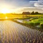 Liburan ke Yogyakarta, Ini Pilihan Homestay untuk Melepas Penat