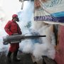 Kasus DBD Naik, Benarkah Nyamuk Aedes Aegepty Sudah Tak Mempan Fogging?