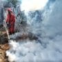 Fogging Jarang Dilakukan Meski Potensi DBD Meningkat, Ini Kata Dinkes Jogja