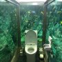 Kafe Ini Punya Toilet Aquarium Rasa Bunaken, Bikin Pelanggan Betah Pipis