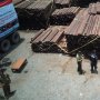 Kasus Kayu Ilegal Asal Papua, 2 Perusahaan Siap Disidang