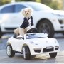 Diajak Kebut-kebutan Naik Mobil Sport, Reaksi Anjing Ini Bikin Iba