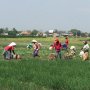 Sektor Pertanian Makin Digemari Generasi Muda, Ini 10 Alasannya...