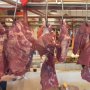 Siap-siap Harga Daging Sapi Bakal Melejit Jelang Bulan Puasa Ramadan