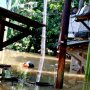 Jakarta Banjir, 5 Karung Beras Dikirim ke Cililitan