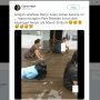 Tak Takut Gatal, Bidadari Cantik Ini Asyik Berenang di Kubangan Banjir