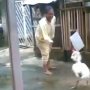 Tak Tega Lihat Endingnya, Apakah Emak-emak Ini Menang Lawan Ayam Jago?