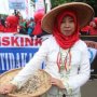 Buruh Perempuan Bawa Cabe, Berkebaya dan Pakai Caping Arti Gaji Rendah
