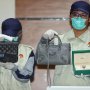 Tas Balenciaga Bupati Talaud Laku Rp 15 Juta saat Dilelang KPK