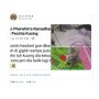 Usai Rusak Headset Majikannya, Kucing Ini Beri Hadiah Mengejutkan