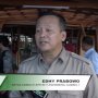 Ogah Ganggu Koalisi Jokowi, Gerindra: Mau Sampai Kapan Gontok-gontokan?