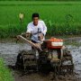 Para Petani di Lamongan Terima Klaim Asuransi Usaha Tani Padi