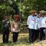Tinjau Calon Lokasi Ibu Kota Baru di Gunung Mas, Jokowi: Dapat Feeling