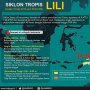 Dua Bibit Siklon Tropis Menguat, BMKG Paparkan Dampaknya Bagi Indonesia