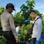 Sehabis Aniaya Ayahnya Pakai Dodos, Matedi Tewas Membusuk di Kebun Sawit