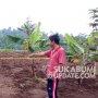 Densus Temukan 3 Bom Rakitan yang Dikubur di Kebun Singkong Abah Agus