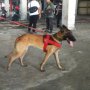 Rachland: Ada Tim Anjing Disiapkan Serang Warga yang Mau Protes Damai?