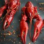 Gaji Menguap untuk Membeli Udang, Wanita Ini Kena Semprot Mertua