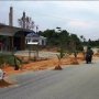Kesal Berlumpur dan Licin, Warga Nekat Tanam Pohon Kelapa di Jalan