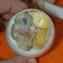 Tak Sembarangan, Ini 4 Tips Menyantap Balut Kuliner Ekstrem Khas Filipina