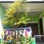 Orang Mencurigakan Mondar-Mandir Depan Rumah AS Terduga Teroris di Semarang