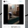 Aksi Heboh Mengusir Tikus di Masjid Ini Bikin Ngakak
