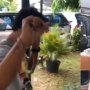 Viral, Ini Sosok Kamerawan yang Celananya Melorot saat Liputan 22 Mei