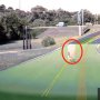 Tak Cuma Manusia, Fitur Autopilot Tesla Juga Bisa Deteksi Angsa