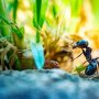 10 Cara Mengeluarkan Semut dari Telinga Secara Aman, Jangan Panik Berlebihan!