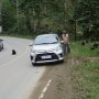 Unik, Pemudik Trans Sulawesi Taweli - Toboli Dihadang Ratusan Kera Hitam
