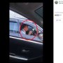 Asyik Karaoke saat Macet, Pria Ini Jadi Tontonan Pengguna Jalan