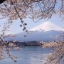 Menghayati Keelokan Gunung Fuji Melalui 5 Danau Cantik di Jepang