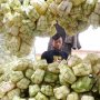 Catat! Ini Bahaya Masak Ketupat dan Lontong dengan Bungkus Plastik